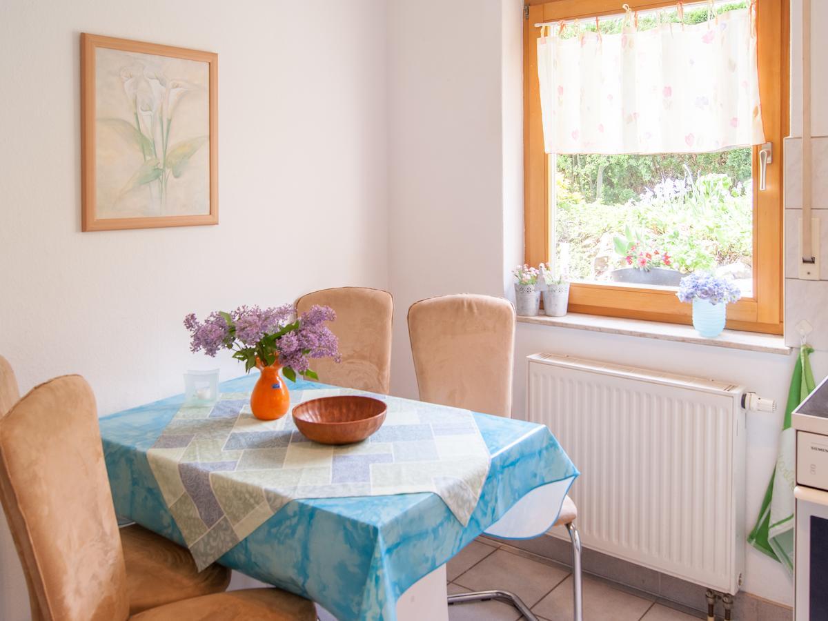 Ferienwohnung Ueber Den Daechern Von Дрезден Экстерьер фото